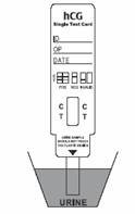 sample test
