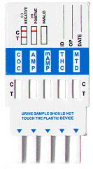 10 Panel Drug Test