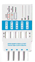 10 Panel Drug Test